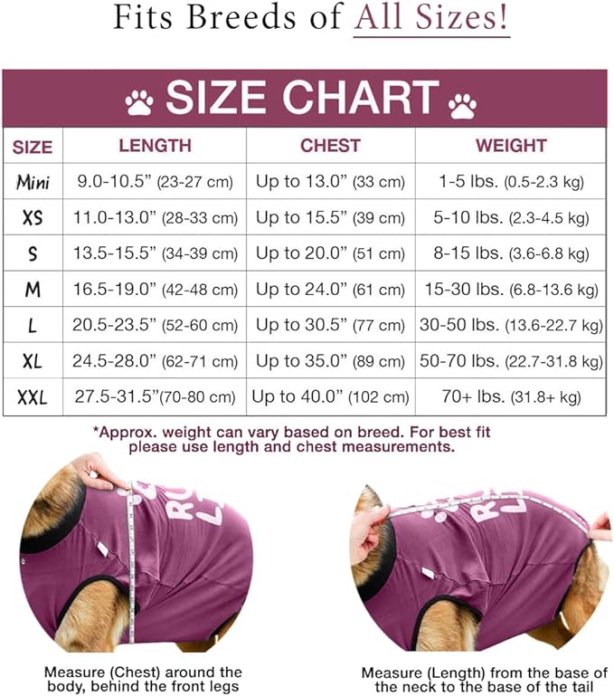 BellyGuard Recovery Suit for Dogs, After Surgery Dog Recovery Suit Female and Male, Soft Cotton Dog Surgery Suit Female Spay, Dog Surgical Recovery Suit Male Neuter, Comfy Surgical Onesie for Dogs.