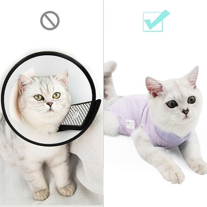 Cat Recovery Suit for Male and Female Surgical Post Surgery Soft Cone Onesie Shirt Clothes Neuter Licking Protective Diapers Outfit Cover Kitten Spay Collar(M, Purple)