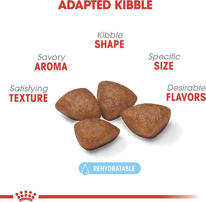 Royal Canin Size Health Nutrition Small Starter Mother & Babydog Dry Dog Food, 14 lb bag