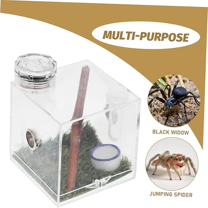 Mipcase 5pcs Box Jumping Spider Breeding Box Spider Habitat Cage Jumping Spider Enclosure Accessories Small Spider Enclosure Tarantula Enclosure Tank Acrylic Pet Little Spider Ceramics