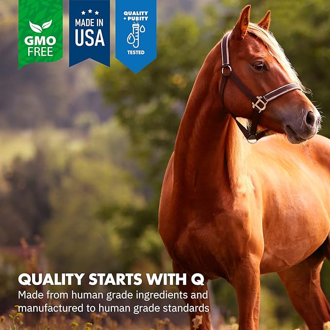 HealthyGut™ Probiotics for Horses Dietary Supplement, All-Natural Digestive System Performance Formula (90 Days)