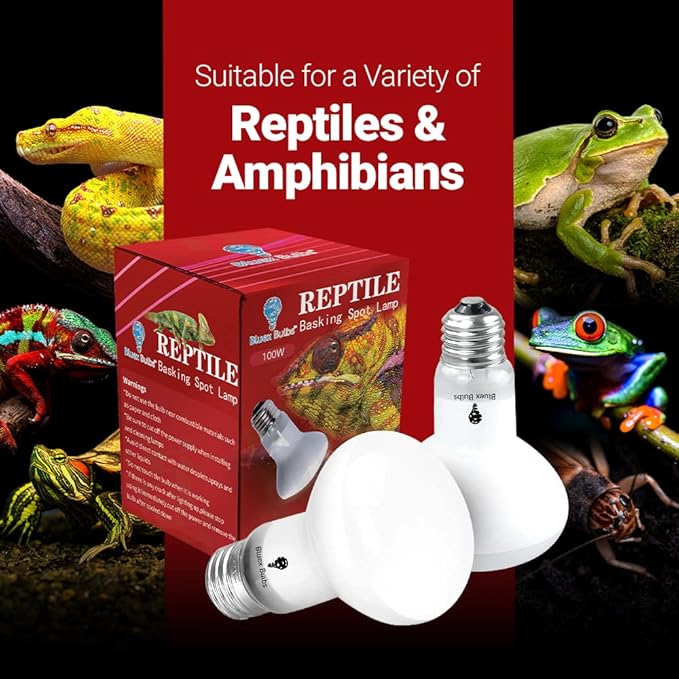 4 Pack 100-Watt Basking Light for Reptile - Heat Lamp Bulbs for Reptiles & Amphibians Broad Spectrum Reptile Light for Glass Terrariums Suitable for Bearded Dragons Light Lizards Iguanas basking Bulb