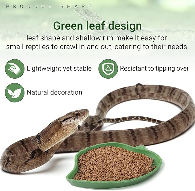 CalPalmy 2 Pack Reptile Water and Food Bowls, Leaf Food Bowl Plate Water Dish for Lizards, Young Bearded Dragons, Small Snakes and More Reptiles