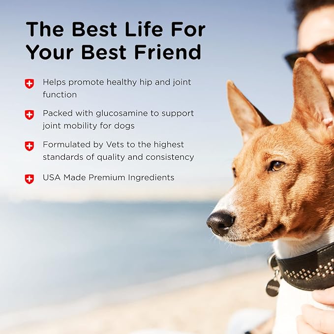 Nutri-Vet Hip & Joint Chewable Dog Supplements | Formulated with Glucosamine & Chondroitin for Dogs | 75 Count