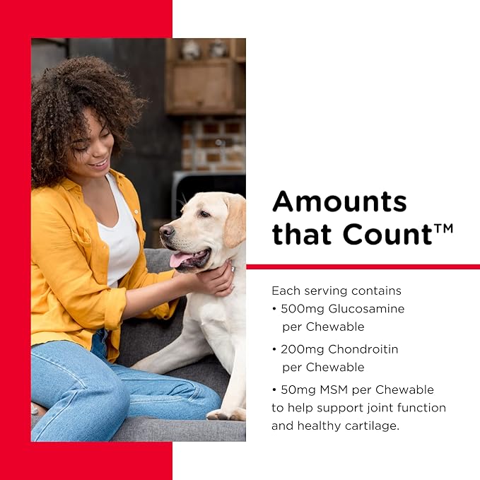 Nutri-Vet Hip & Joint Chewable Dog Supplements | Formulated with Glucosamine & Chondroitin for Dogs | 120 Count