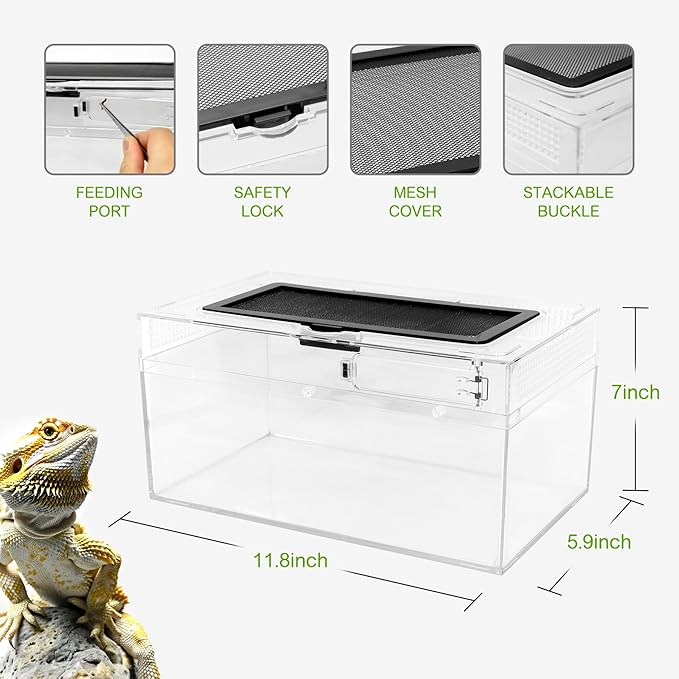 Reptile Terrarium Amphibian Tank Spider Cages Snake Cage 7x11.8x5.9inch Suitable for breeding Lizards,Turtles,Chameleons,Jumping Spiders