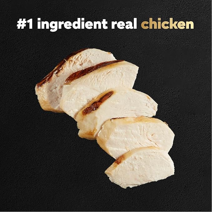 Cesar Filets in Gravy Wet Dog Food Wood-Grilled Chicken Flavor, 1.76 oz. Mini-Pouch, 20 Pack