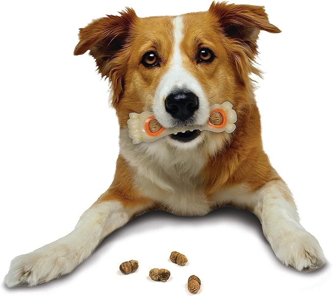 Nylabone All-Natural Pop-in Dog Treat Refills Chicken Pop-in (30 Count) (Pack of 2)