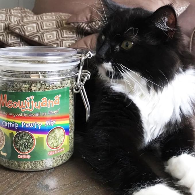 Meowijuana Catnip Pawty Mix Jar - Premium Organic Catnip for Cats - Irresistible Blend for Feline Entertainment, Fresh Catnip for Extended Playtime - Elevate Your Cat's Enjoyment