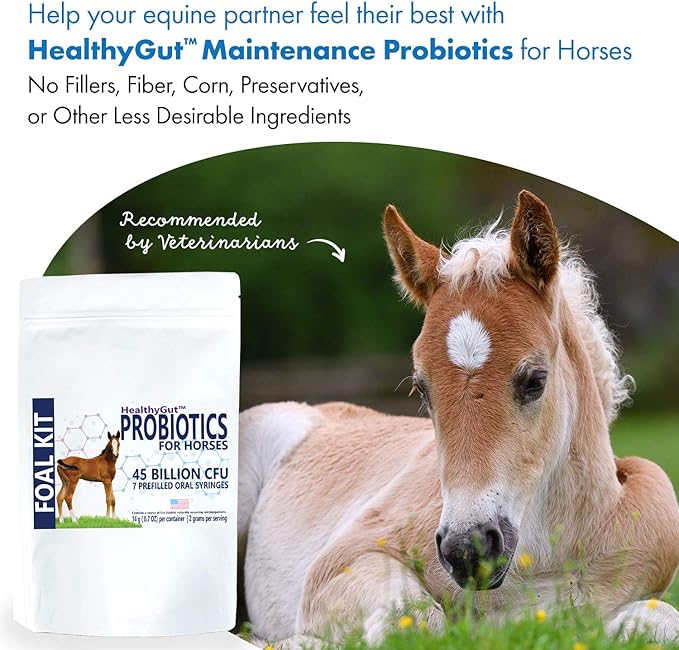 HealthyGut Foal Kit for Horses Dietary Supplement, All-Natural Formula (14 g)