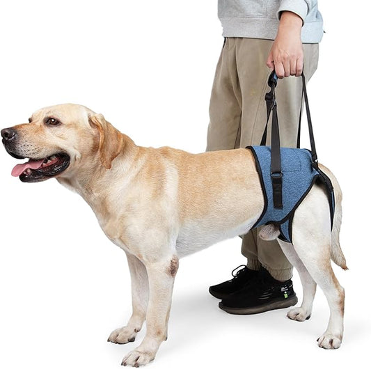 Dotoner Dog Sling for Large Dogs Hind Leg Support to Help Rehabilitate The Hind Limbs of Elderly Dogs with Weak Hind Legs Disabilities and Injuries Dog Harness Helps Arthritis ACL Recovery（M,Blue）