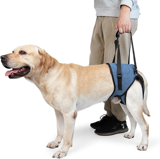 Dotoner Dog Sling for Large Dogs Hind Leg Support to Help Rehabilitate The Hind Limbs of Elderly Dogs with Weak Hind Legs Disabilities and Injuries Dog Harness Helps Arthritis ACL Recovery（L,Blue）