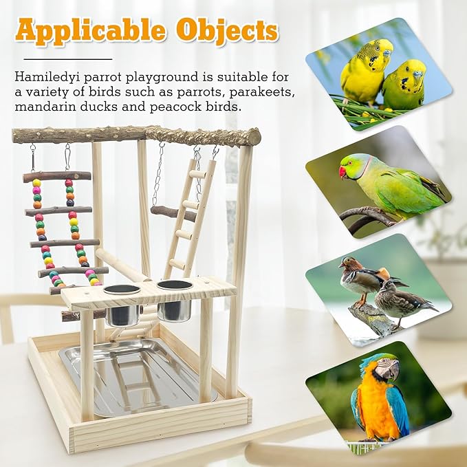 Hamiledyi Bird Playground Parrots Wood Perch Stand Cockatiel Playground Bird Play Gym Colours Climb Ladders Swing Chewing Toys with Parakeet Feeding Cups Exercise Activity Center for Lovebirds Conure