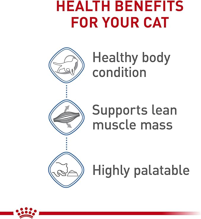 Royal Canin Feline Weight Care Loaf in Sauce Canned Adult Wet Cat Food, 5.1 oz Can (24-Count)