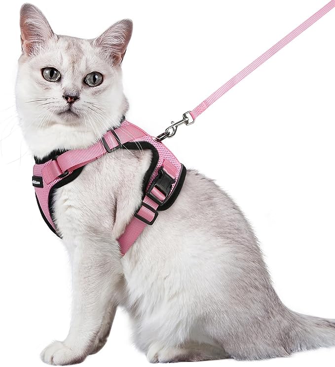 rabbitgoo Cat Harness and Leash for Walking, Escape Proof Soft Adjustable Vest Harnesses for Cats, Easy Control Breathable Reflective Strips Jacket, Pink, M