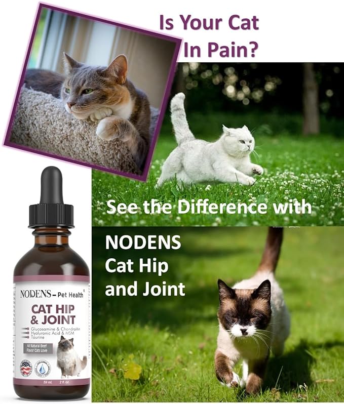 NODENS CAT Hip and Joint Glucosamine for Cats with Chondroitin and Opti-MSM® Hyaluronic Acid for Improved Joint Flexibility and Pain Relief from Inflammation and Cat Arthritis 2 floz