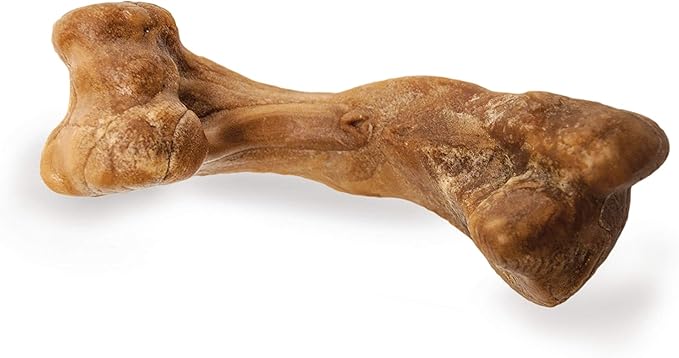 Nylabone Healthy Edibles WILD Natural Long-Lasting Bison Flavor Bone Chew Treats for Dogs, Small (8 Count)