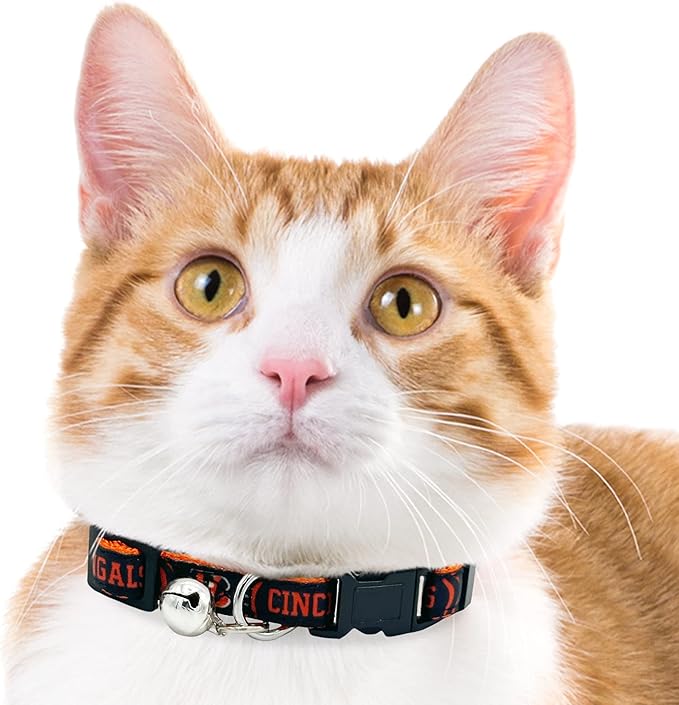 NFL CAT Collar Cincinnati Bengals Satin Cat Collar Football Team Collar for Dogs & Cats. A Shiny & Colorful Cat Collar with Ringing Bell Pendant