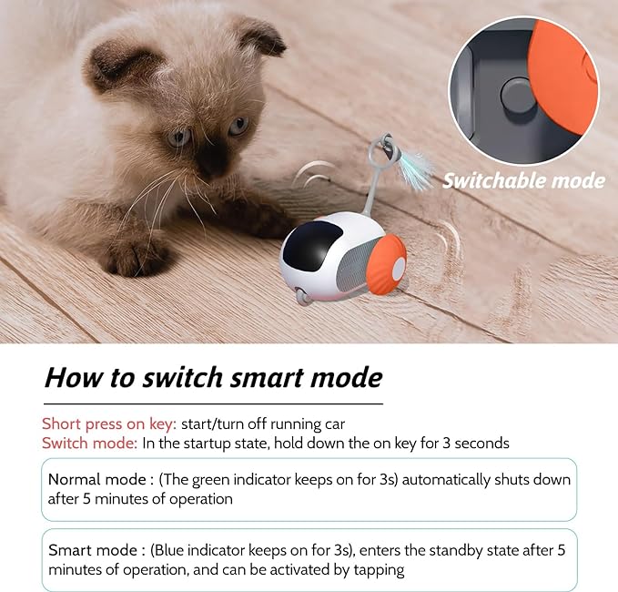 Remote Control Smart Electric Cat Toy,Interactive Cat Toys for Indoor Cats,Gravity Automatic Mobile Car Toy,Cat Mouse Toys,Moving Cat Toy, USB Rechargeable (Orange)