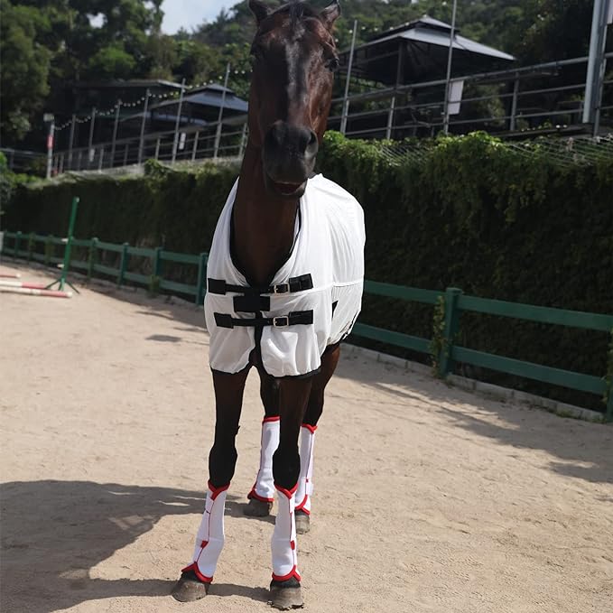 Fly Boots for Horses Set of 4, Breathable Comfy Mesh Horse Leggings Reduce Stomping, Hoof Stress, and Leg Fatigue White Cob