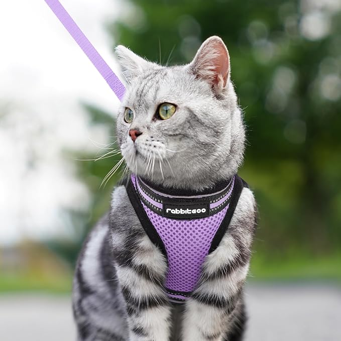 rabbitgoo Cat Harness and Leash Set for Walking Escape Proof, Adjustable Soft Kittens Vest with Reflective Strip for Cats, Comfortable Outdoor Vest, Light Purple, M