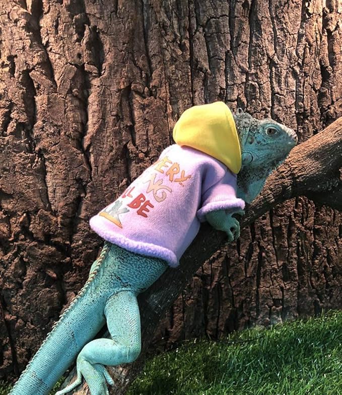 Lizard Clothes for Bearded Dragons Reptile Apparel Handmade Cotton Material Hoodies Sweater for Skin Protection Photo Party for Crested Gecko Chameleon