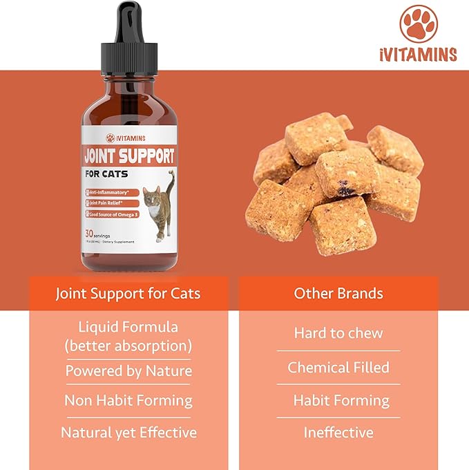 Cat Joint Supplement - Cat Joint Pain Relief - Cat Hip and Joint Supplements Pain Relief - Cat Joint Supplements - Joint Support for Cats - Hip and Joint for Cats - Cat Joint Support - 1 fl oz