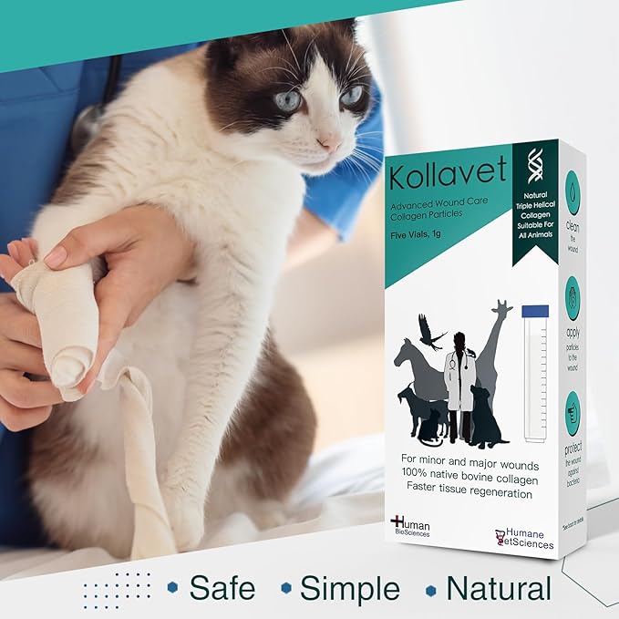 Veterinarian-Recommended Animal Wound Care Dressing for Cats, Dogs, Horses, Reptiles, Pets, and Working Animals (1 Gram Vials)