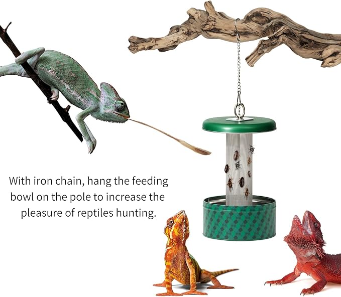 Chameleon Feeding Bowl, Climble Chameleon CageAccseeories Feeder, Fit for Lizard, Gecko, Beared Dragon,Frog, Terrarium and Greenhouse