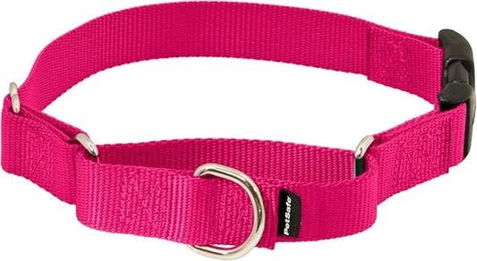 PetSafe Martingale Dog Collar with Quick-Snap Buckle - Petite, 3/8 Inch, Raspberry