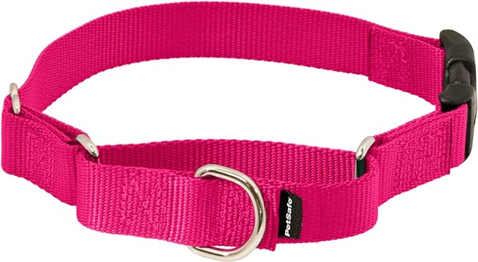 PetSafe Martingale Dog Collar with Quick-Snap Buckle - Large, 1 Inch, Raspberry