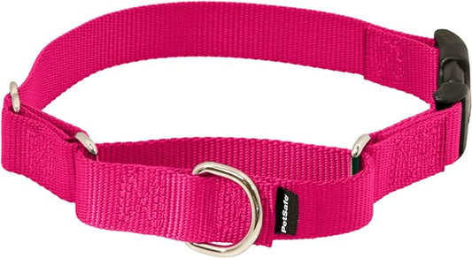 PetSafe Martingale Dog Collar with Quick-Snap Buckle - Small, 3/4 Inch, Raspberry