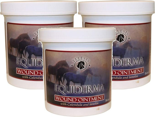 EQUIDERMA Wound Ointment for Horses, 16 Ounces Each (3 Pack / 16-Ounces)3