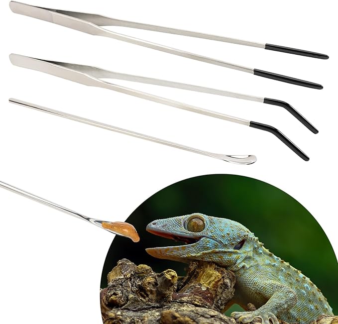 3 Pcs Stainless Steel Reptile Feeding Tool Set with 2 Rubber Tipped Tongs and 1 Crested Gecko Feeding Spoon, Crested Gecko Tank Accessories for Geckos, Lizards, Bearded Dragons, and Small Animals