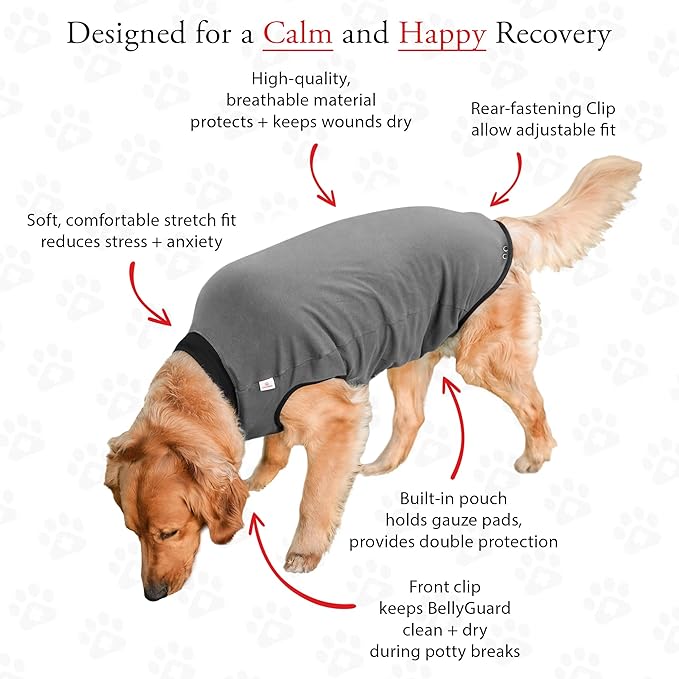 BellyGuard Recovery Suit for Dogs, After Surgery Dog Recovery Suit Female and Male, Soft Cotton Dog Surgery Suit Female Spay, Dog Surgical Recovery Suit Male Neuter, Comfy Surgical Onesie for Dogs.