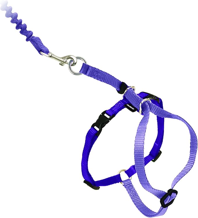 PetSafe Come with Me Kitty Harness and Bungee Leash, Harness for Cats, Small, Lilac/Bright Purple