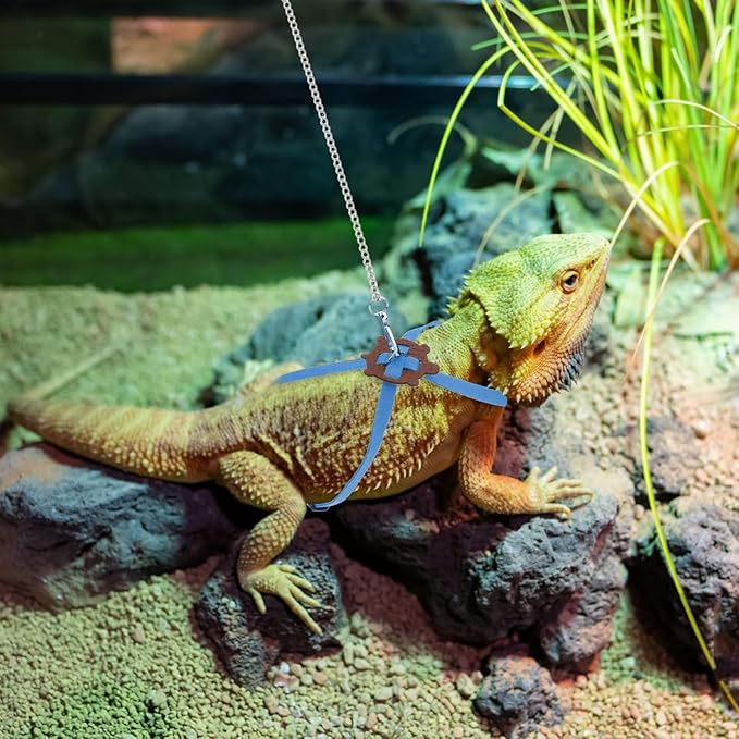 2 Pack Adjustable Reptile Harness and Leash for Lizard Gecko Bearded Dragon Outside Walk (Blue)