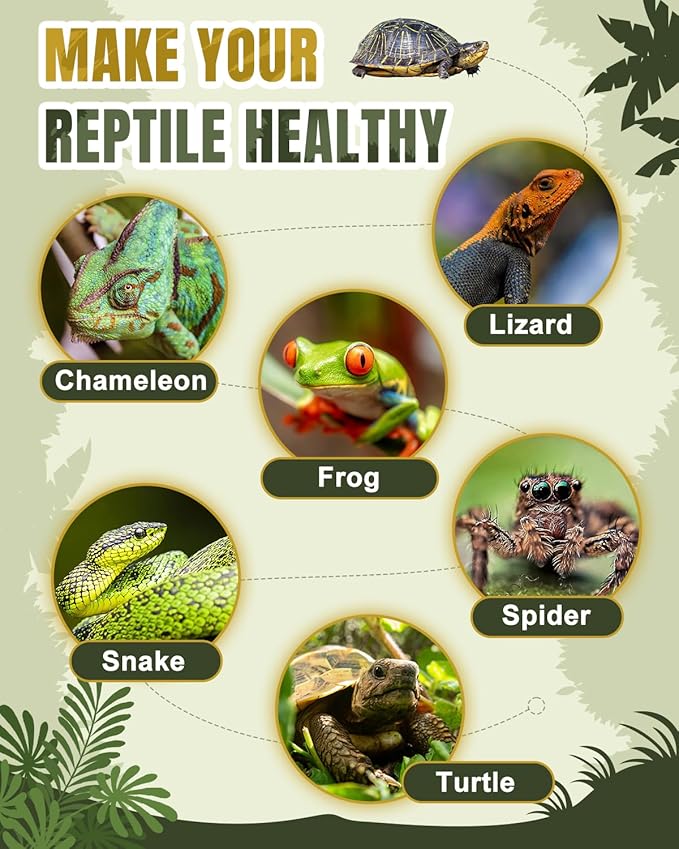 Heat Lamp Bulbs, 100 Watt Reptile Heat Bulb, Full Spectrum UVA UVB Light Bulb, Natural Daylight, Basking Spot Light, Sun Light for Reptile and Amphibian 2 Pack