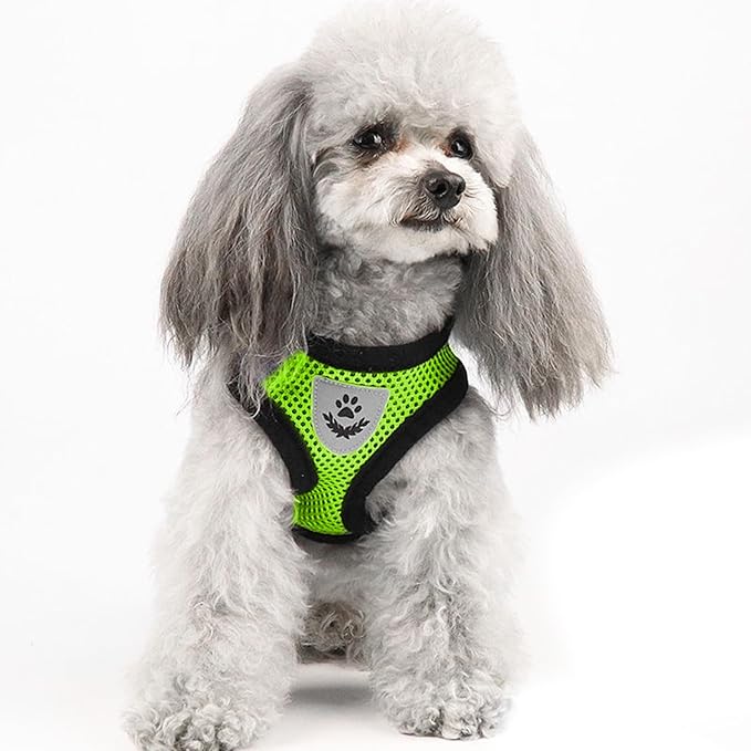 Summer cat Chest Harness and Leash, Anti-Escape Adjustable Soft mesh cat Leash and Chest Harness Set for All Types of Cats cat Vests (Size S,Green)