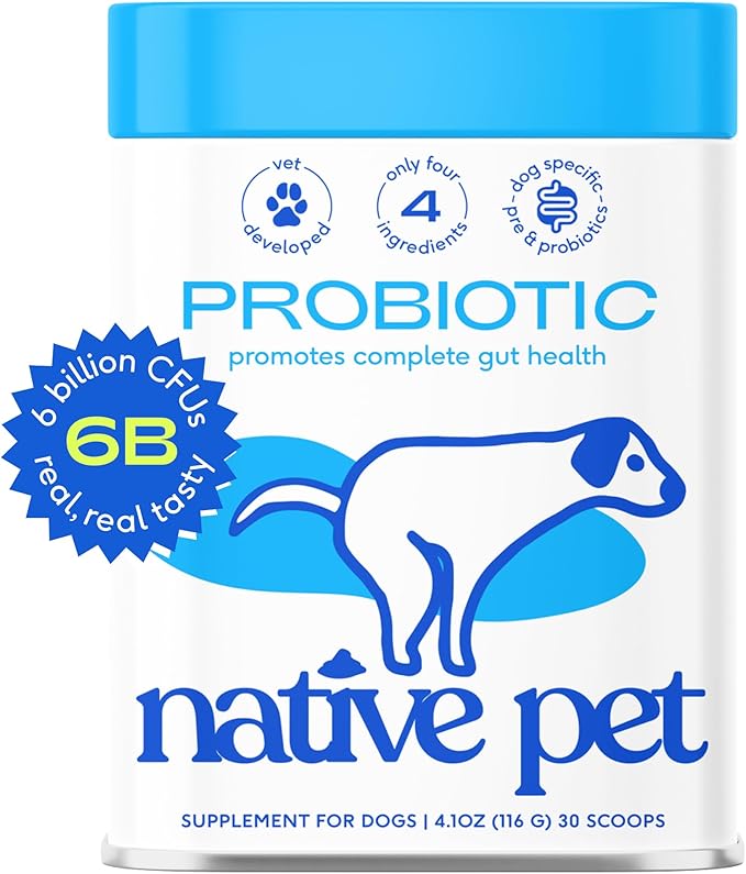 Native Pet Probiotic for Dogs - Vet Created Probiotic Powder for Digestive Issues - Probiotic Powder + Prebiotic + Bone Broth - 232 Gram 6 Billion CFU- Dogs Love! (4.1 oz)