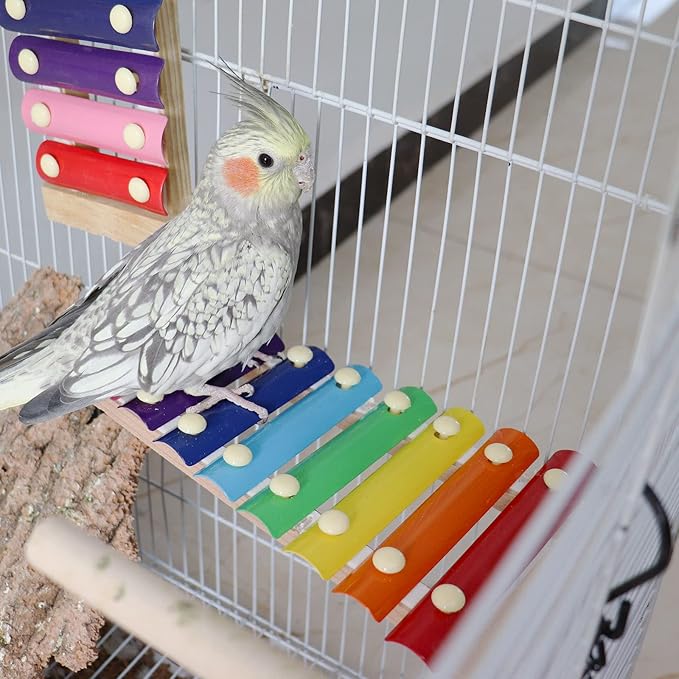 Colorful Bird Xylophone Toy, Funny Xylophone Toy with 8 Metal Keys, Bird Cage Toy Accessories for Chicken Bird Parrot Parrot Parakeet Budgies Love Birds