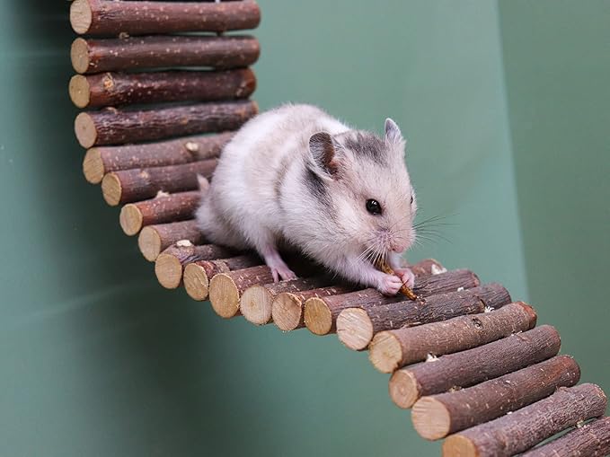 Rat Ladder Bridge, Wooden Hamster Climbing Ladder Toy, Small Animals Cage Accessories for Bird Parrot Hamster Mouse Rat Sugar Glider Hermit Crab Sugar Glider Chinchilla(23.62x3.14 Inches)