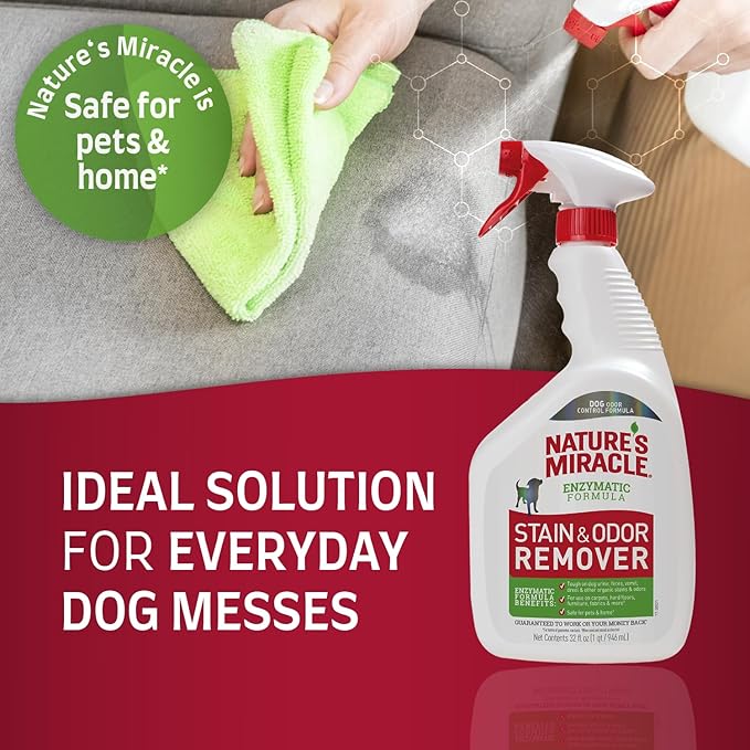 Nature's Miracle Dog Stain and Odor Remover, Everyday Mess Enzymatic Formula, 32 fl oz (Pack of 2)