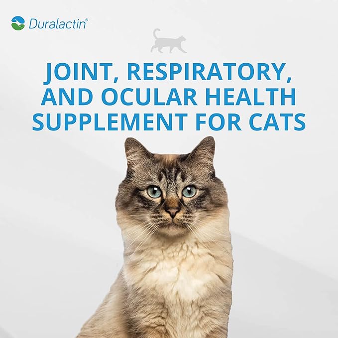 PRN Pharmacal Duralactin Feline L-Lysine Paste for Cats & Kittens - Supports Feline Joint, Respiratory & Ocular Health - Natural Chicken-Flavored Paste to Help Manage Soreness - 32.5mL (3 Pack)