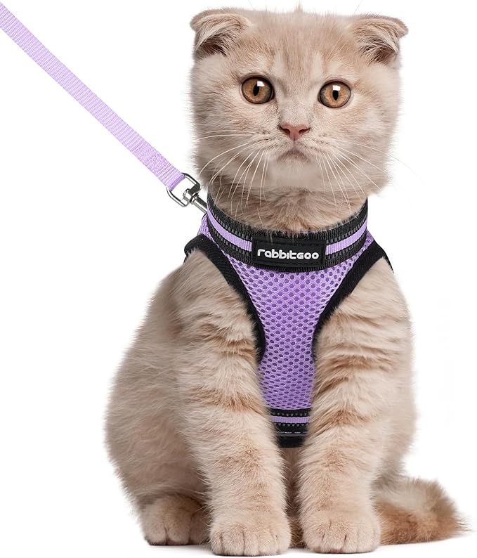 rabbitgoo Cat Harness and Leash Set for Walking Escape Proof, Adjustable Soft Kittens Vest with Reflective Strip for Cats, Comfortable Outdoor Vest, Light Purple, L