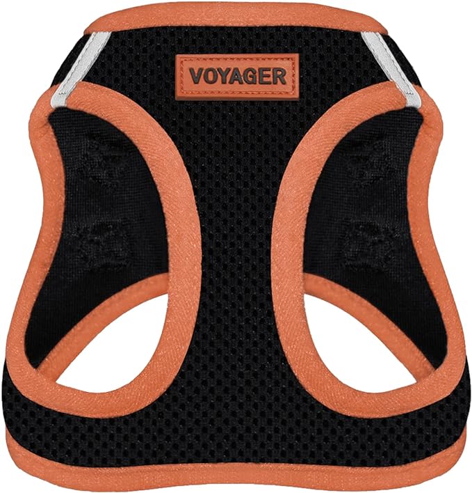 Voyager Step-in Air Dog Harness - All Weather Mesh Step in Vest Harness for Small and Medium Dogs by Best Pet Supplies - Orange Trim, S