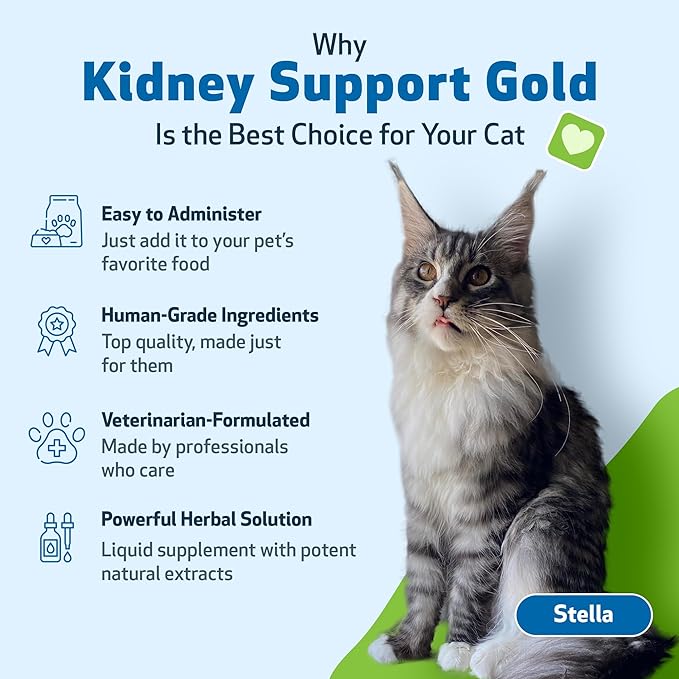 Pet Wellbeing Kidney Support Gold for Cats - Vet-Formulated - Supports Healthy Kidney Function in Cats - Natural Herbal Supplement 2 oz (59 ml)