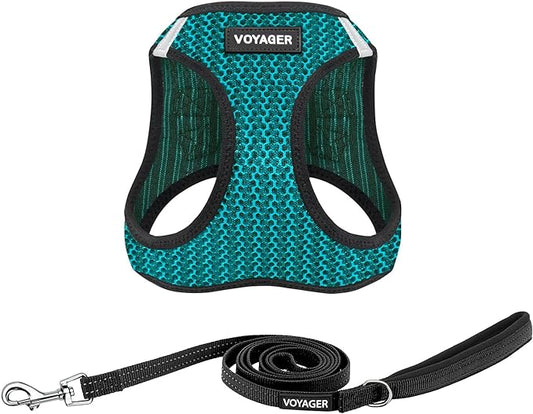 Voyager Step-in Air All Weather Mesh Harness and Reflective Dog 5 ft Leash Combo with Neoprene Handle, for Small, Medium and Large Breed Puppies by Best Pet Supplies - Turquoise (2-Tone), M