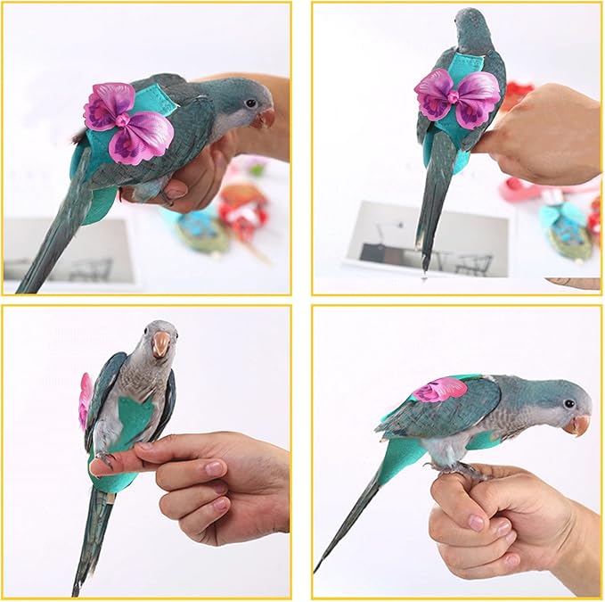 Bird Diapers Harness and Leash Parrot Flight Clothes Suit Bird Clothes Washable Parakeet Recovery Diapers for Small Medium Birds Parakeets Parrot Cockatiel Conure M