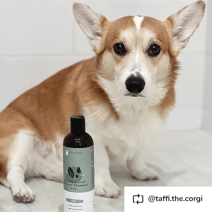 kin+kind Dog Shampoo for Dry, Itchy Skin and Coat Relief - Safe, Natural Formula with Olive Oil, Coconut Oil, Cedarwood - Made in The USA - Dog Grooming, Puppy Supplies, and Dog Accessories(12 fl oz)